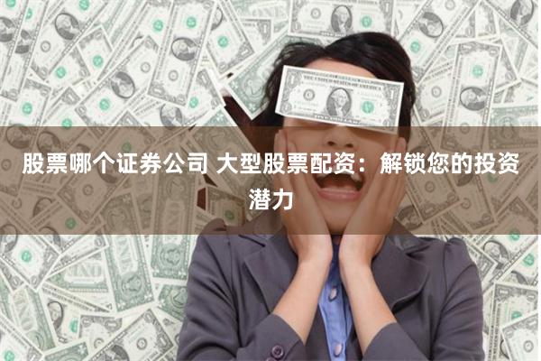 股票哪个证券公司 大型股票配资：解锁您的投资潜力